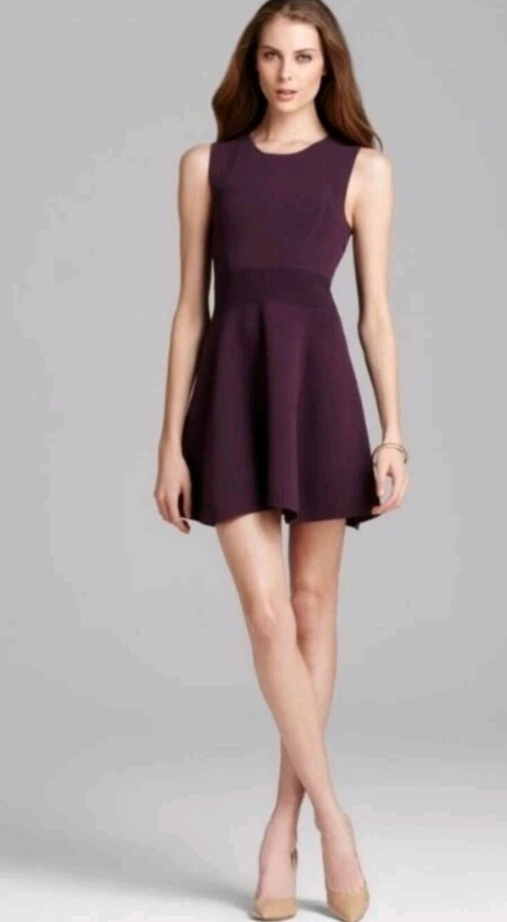 Theory Dominay Deep Plum Knit Mini Dress Size TP Feminine Dark Romance Academia